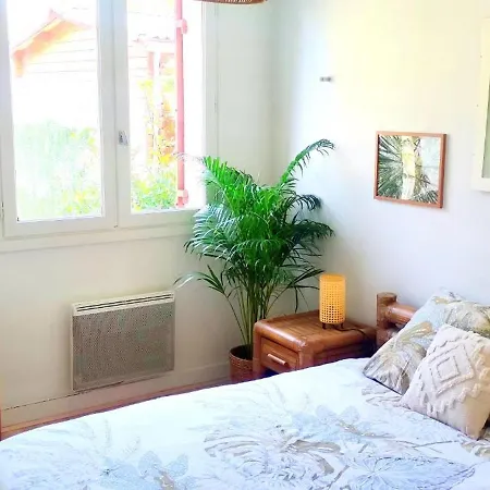 L' Oasis Au Coeur De Semesterbostad